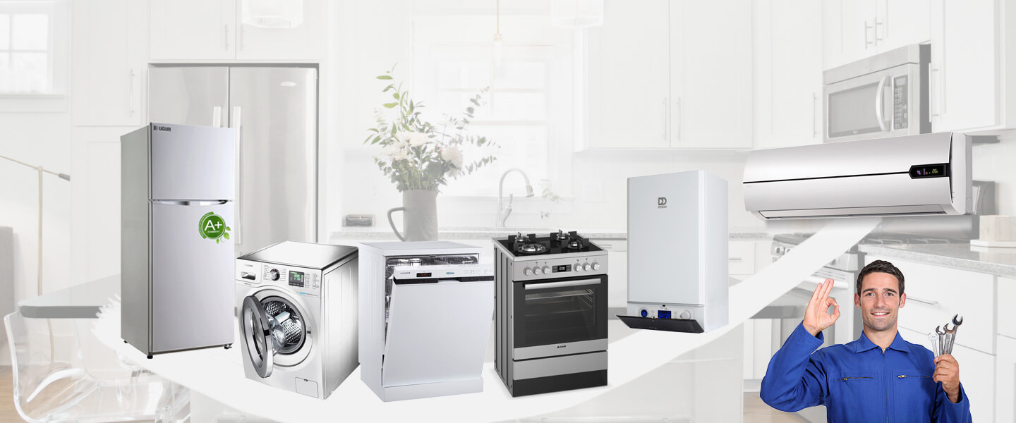 Kaynarca Electrolux Servisi